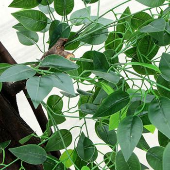 Großhandel B2B Simulation von Baum Landschaftsbau dekorative Begrünung Ficus